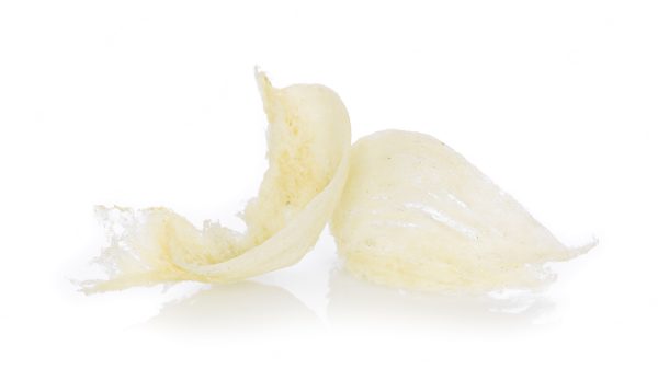 swiftlet-nest-white-background_63301-5