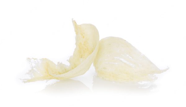 swiftlet-nest-white-background_63301-5